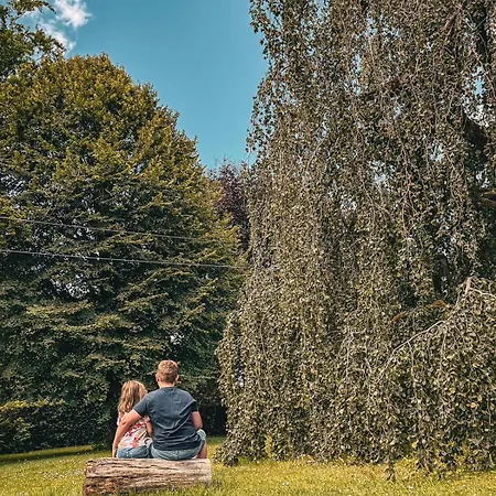 Alpstuga Le Chalet Des Amis 2 *